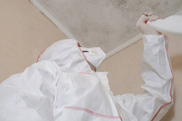 Best Mold Cleaning Services  in Sonoma State University, CA