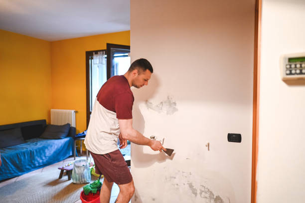 Mold Removal Process in Sonoma State University, CA
