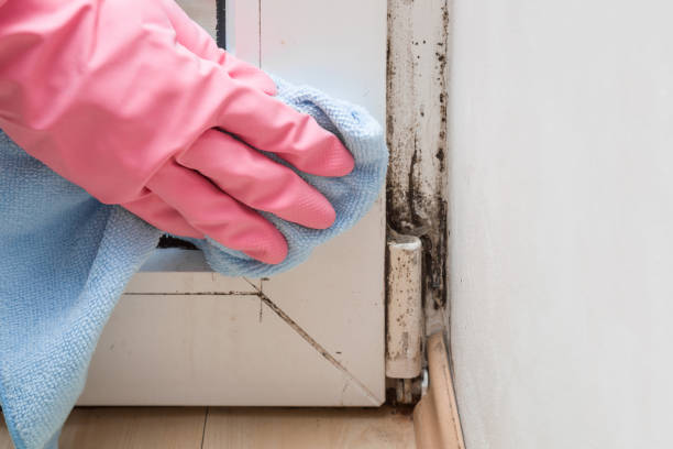 Water Damage Restoration in Sonoma State University, CA